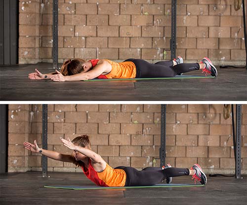 low back pain exercise - ورزش و تمرین کمردرد