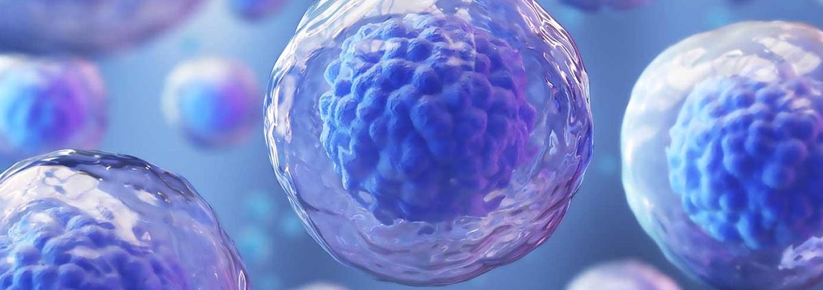 cells to treat Parkinson - درمان پارکینسون با سلول های پوست