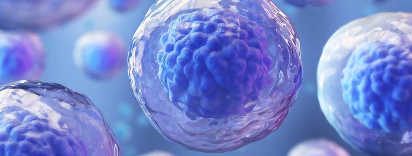 cells to treat Parkinson - درمان پارکینسون با سلول های پوست