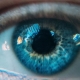 Levodopa may improve vision in patients with macular degeneration - داروی پارکینسون ممکن است برای بینایی سالمند مفید باشد