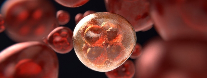 Statins may reduce cancer risk - داروهای استاتینی و کاهش خطر سرطان