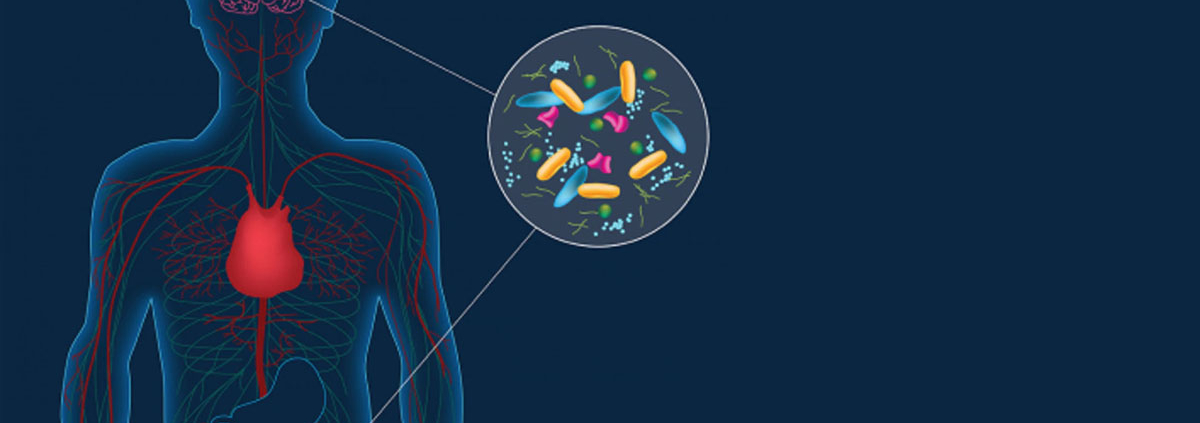 Link between Alzheimer’s disease and gut microbiota is confirmed - ارتباط بین باکتری های روده ای و بیماری آلزایمر تایید شد.
