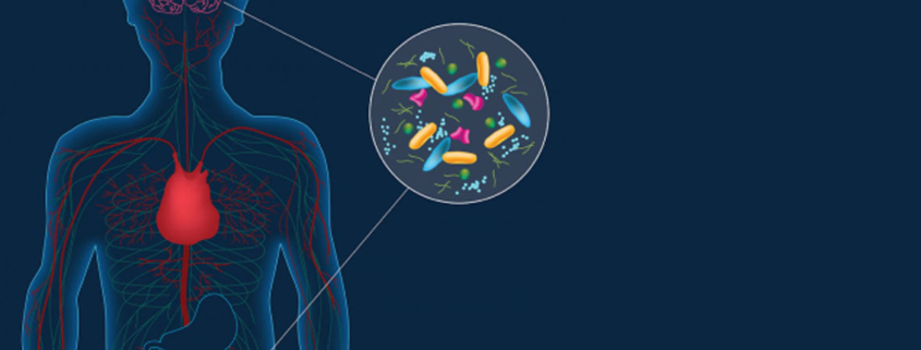 Link between Alzheimer’s disease and gut microbiota is confirmed - ارتباط بین باکتری های روده ای و بیماری آلزایمر تایید شد.