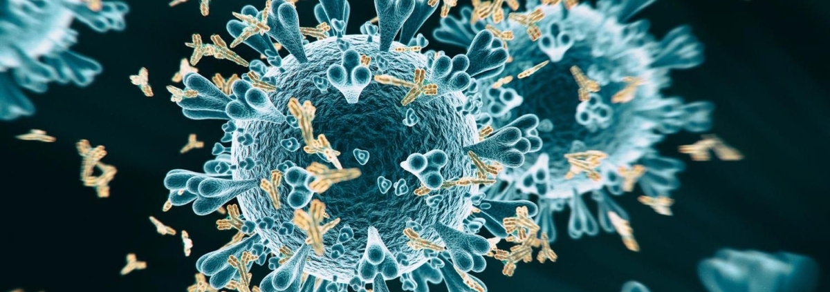 COVID 19 severity affected by proportion of antibodies targeting crucial viral protein - سیستم ایمنی در موارد شدید کرونا به بخش دیگری از ویروس واکنش می دهد