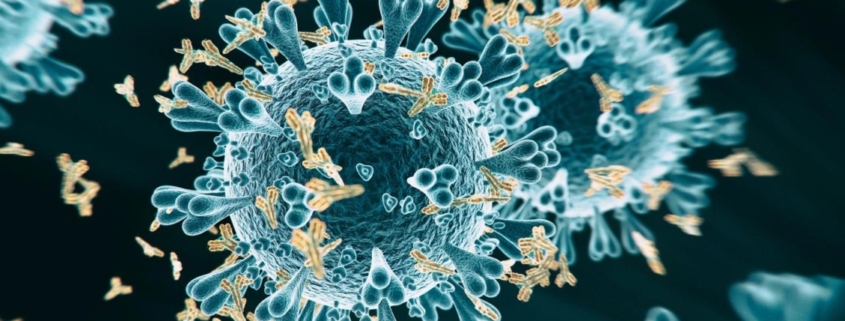COVID 19 severity affected by proportion of antibodies targeting crucial viral protein - سیستم ایمنی در موارد شدید کرونا به بخش دیگری از ویروس واکنش می دهد