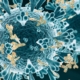 COVID 19 severity affected by proportion of antibodies targeting crucial viral protein - سیستم ایمنی در موارد شدید کرونا به بخش دیگری از ویروس واکنش می دهد
