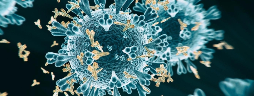 COVID 19 severity affected by proportion of antibodies targeting crucial viral protein - سیستم ایمنی در موارد شدید کرونا به بخش دیگری از ویروس واکنش می دهد