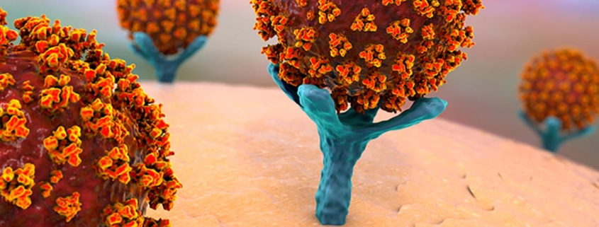 Elevated Biomarker Related to Blood Vessel Damage in All Children with SARS CoV 2 - مارکر نشان دهنده آسیب عروقی در همه کودکان مبتلا به کرونا افزایش میابد