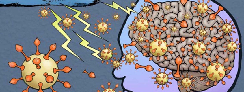 Research strongly suggests COVID-19 virus enters the brain - شواهد قوی وجود دارد که نشان می دهد ویروس کرونا وارد مغز می شود
