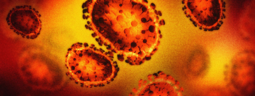 SARS-CoV-2 mutations do not appear to increase transmissibility - به نظر نمی رسد جهش های ژنی کرونا باعث افزایش سرایت پذیری ویروس گردد