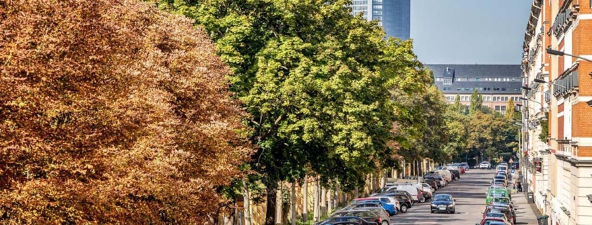 Street trees close to the home may reduce the risk of depression - درختان خاصیت ضدافسردگی دارند