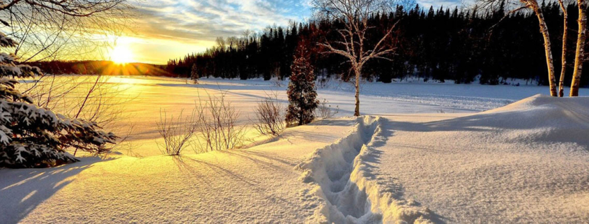 Seasonal Variation in Daylight Influences Brain Function - تاثیر فصول بر عملکرد مغزی