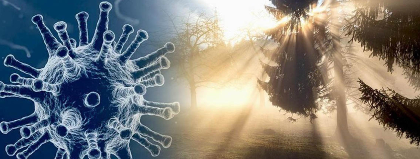 Sunlight linked with lower Covid19 deaths - خاصیت ضدکرونایی نور خورشید