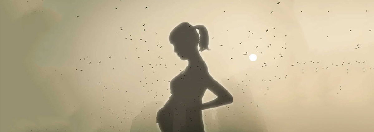 Air pollution exposure during pregnancy may boost babies obesity risk - آلودگی هوا و چاقی