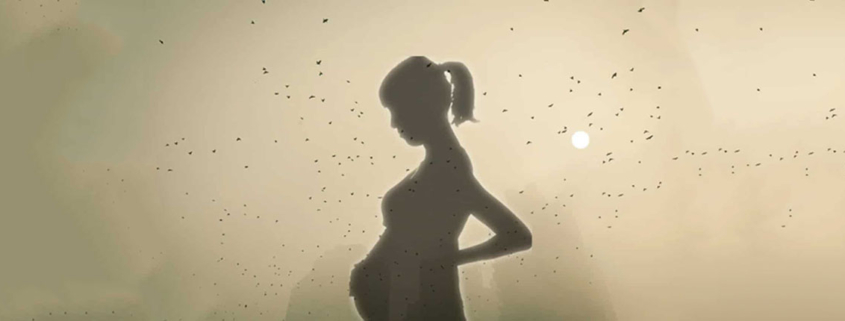 Air pollution exposure during pregnancy may boost babies obesity risk - آلودگی هوا و چاقی