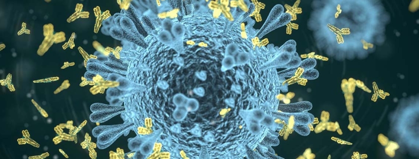 COVID19 antibodies persist at least nine months after infection - میزان ماندگاری آنتی بادی کرونایی