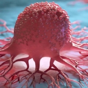 Cancer cells eat themselves to survive - خودخوری سلول های سرطانی