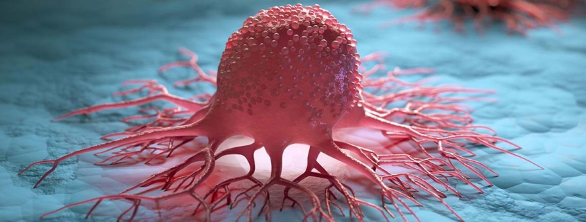 Cancer cells eat themselves to survive - خودخوری سلول های سرطانی