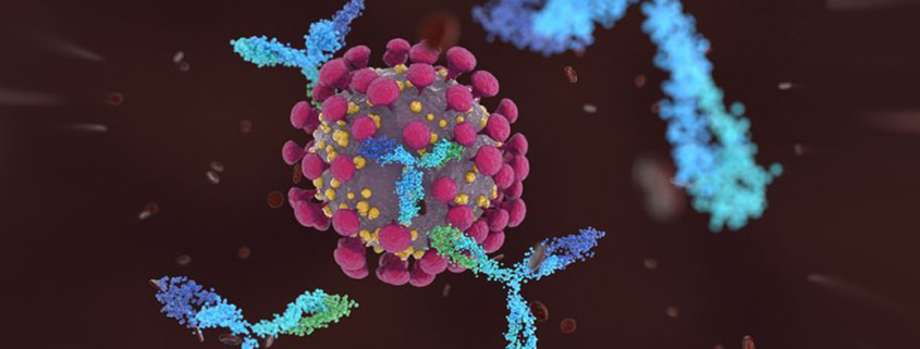 Antibodies elicited by COVID19 vaccination effective against delta variant - تاثیر واکسن های معتبر بر سویه دلتا