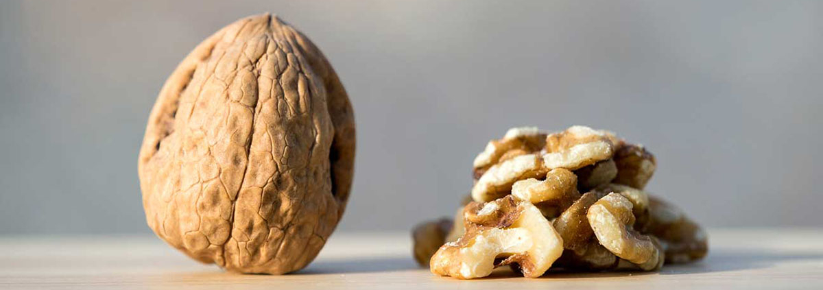 Eating walnuts daily lowered bad cholesterol and may reduce cardiovascular disease risk - گردو موثر در کاهش چربی بد خون