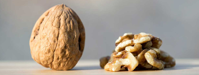 Eating walnuts daily lowered bad cholesterol and may reduce cardiovascular disease risk - گردو موثر در کاهش چربی بد خون
