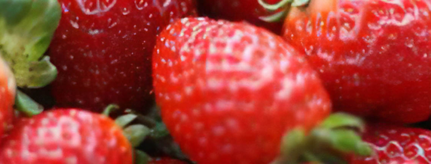 Fruit Compound May Have Potential to Prevent and Treat Parkinson Disease - اثر ضد پارکینسونی میوه ها