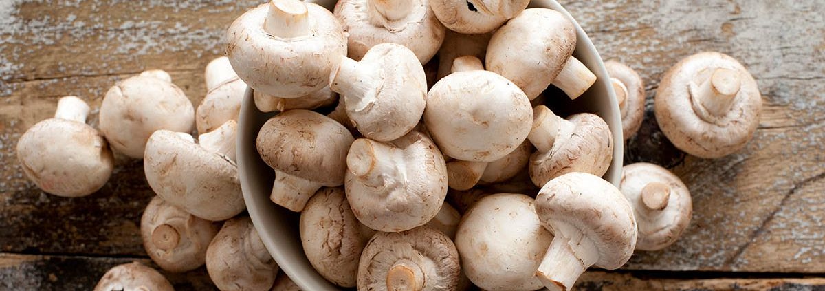 Mushroom consumption may lower risk of depression - خاصیت ضدافسردگی قارچ