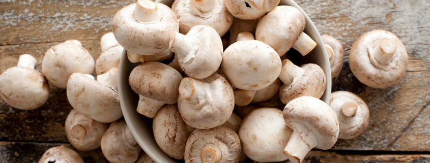 Mushroom consumption may lower risk of depression - خاصیت ضدافسردگی قارچ