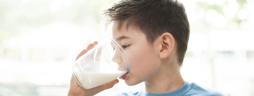 Whole fat or low-fat milk better for kids Science says its udderly up to them - لبنیات مناسب تر برای کودکان کم چرب یا پرچرب