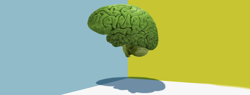 Alzheimers like Changes in Some COVID Patients Brains - تاثیر کرونا بر مغز