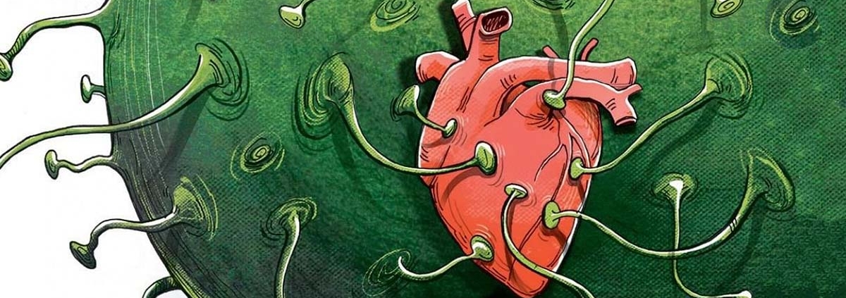 COVID19 infections increase risk of heart conditions up to a year later - کرونا و قلب