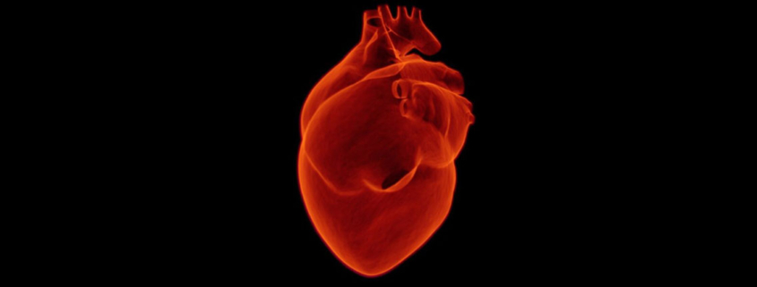 Heart attack survivors may be less likely to develop Parkinsons disease - حمله قلبی و پارکینسون