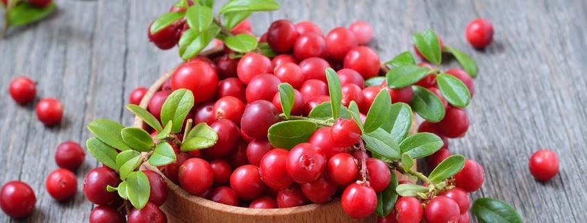 100g of cranberries a day improves cardiovascular health - زغال اخته و سلامت قلبی عروقی